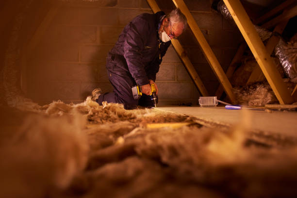 Best Attic Insulation Installation  in Atwater, MN